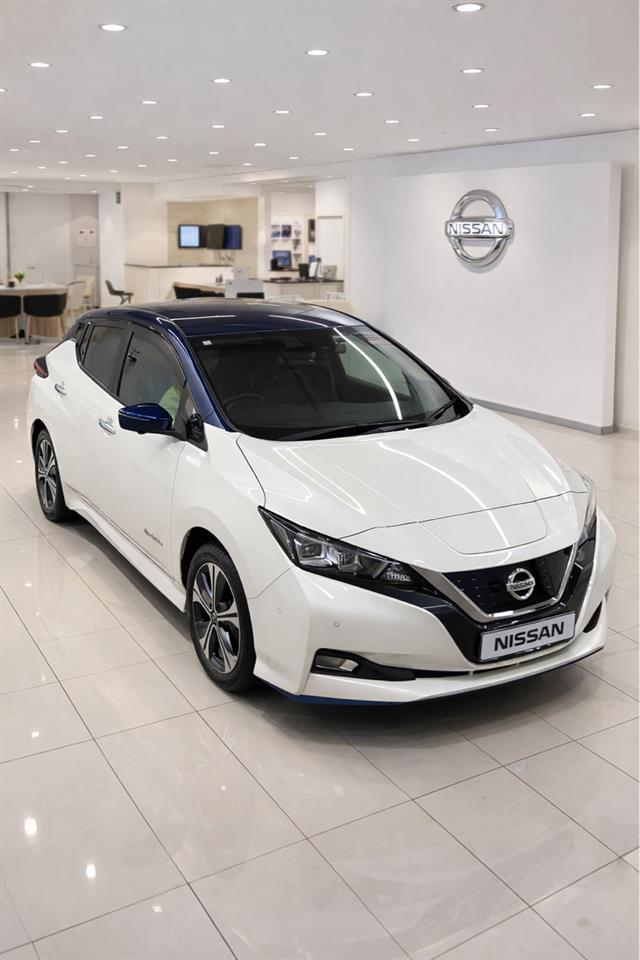 2018 Nissan Leaf