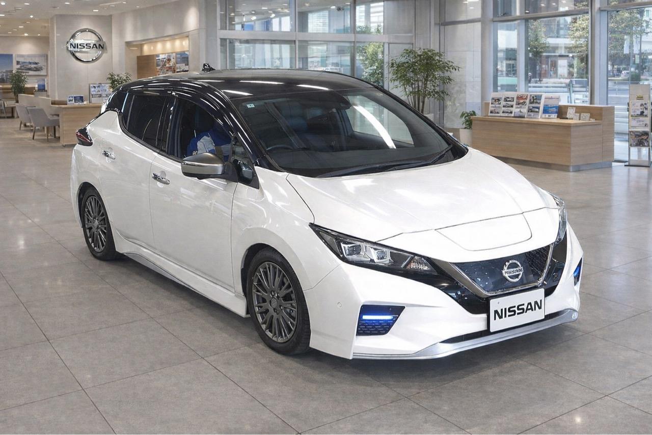 2020 Nissan Leaf