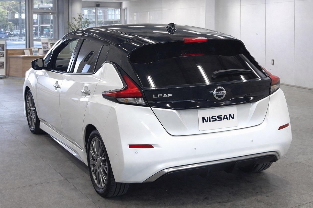 2020 Nissan Leaf