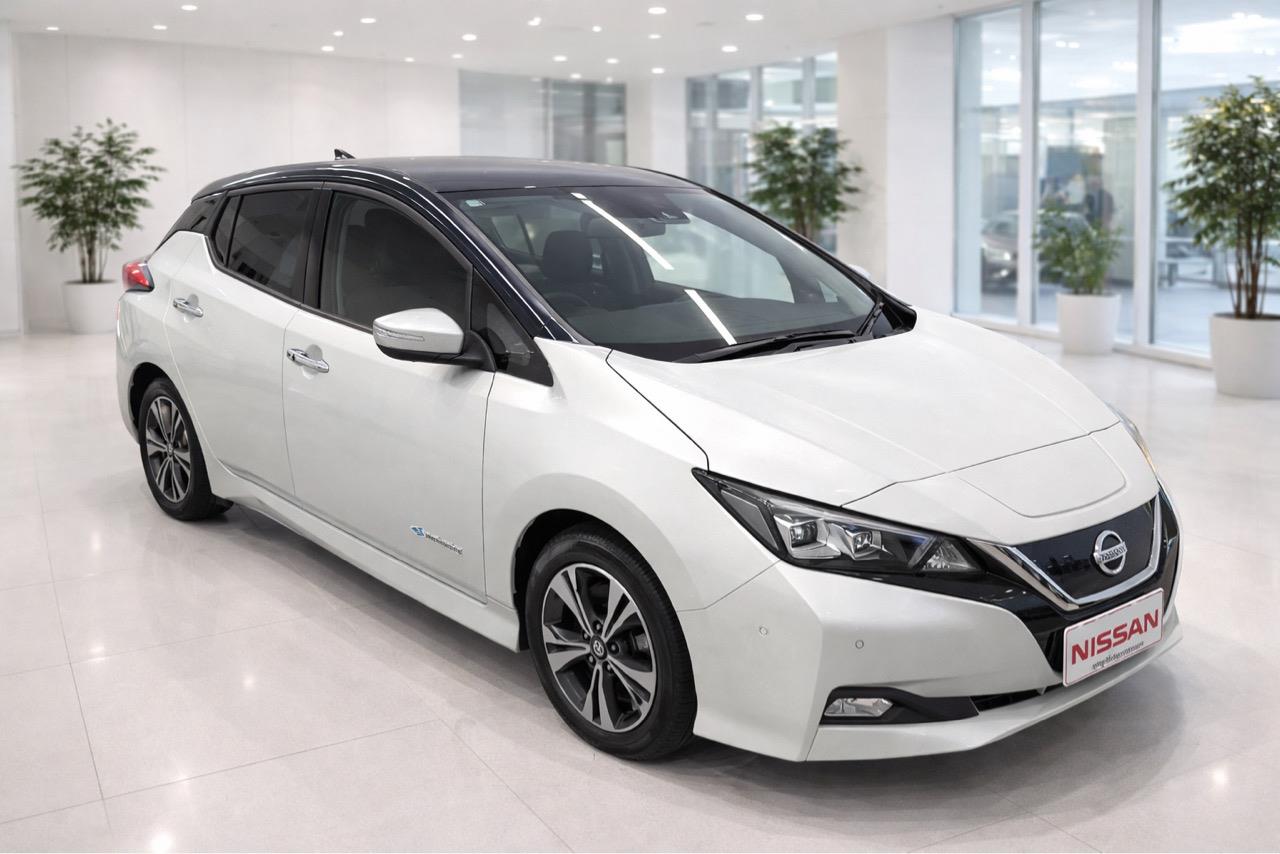 2021 Nissan Leaf