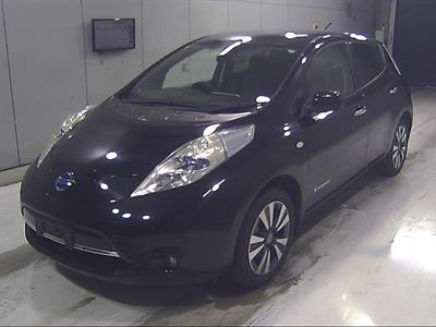 2014 Nissan Leaf - Thumbnail